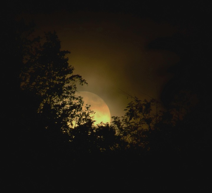 moonlight