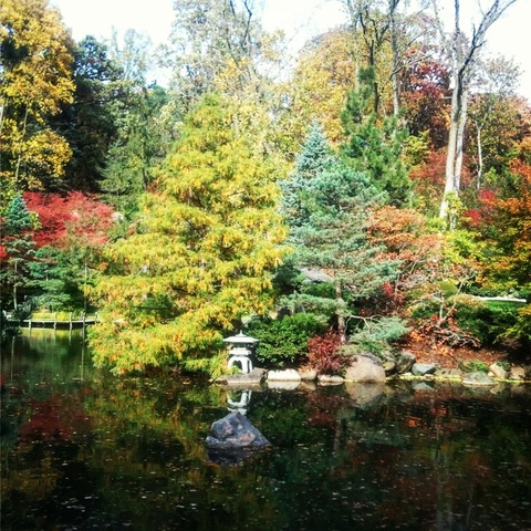 colors changing