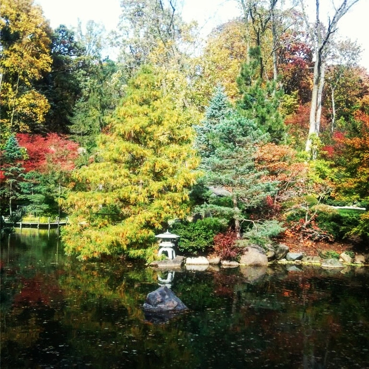 colors changing