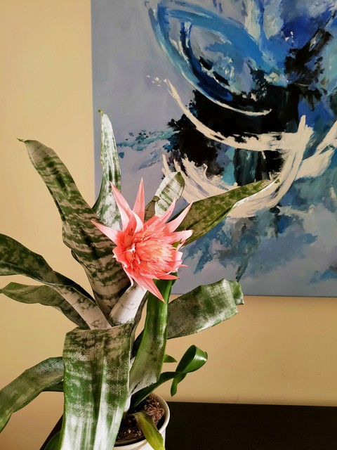 fonds d'écran Art, flower