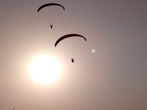 paraglider