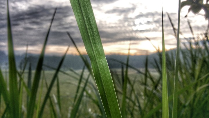 Pemandangan