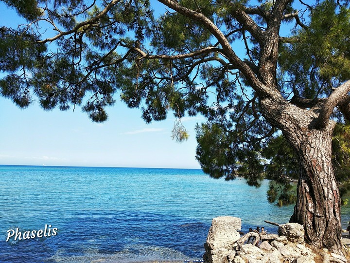 Phaselis