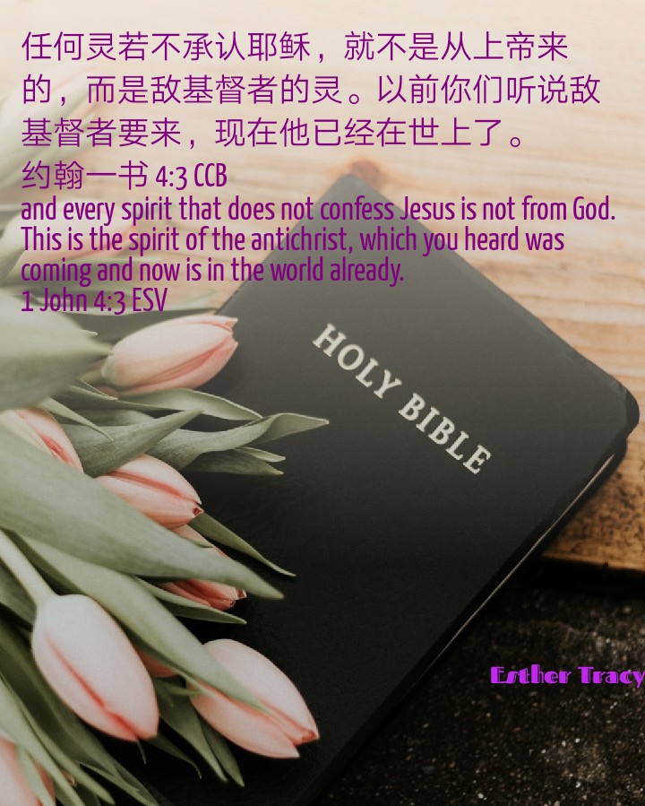believe in right spirit