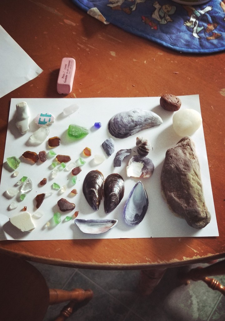 Sea glass and Seashells