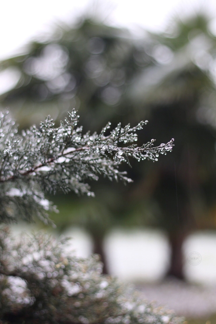 winter