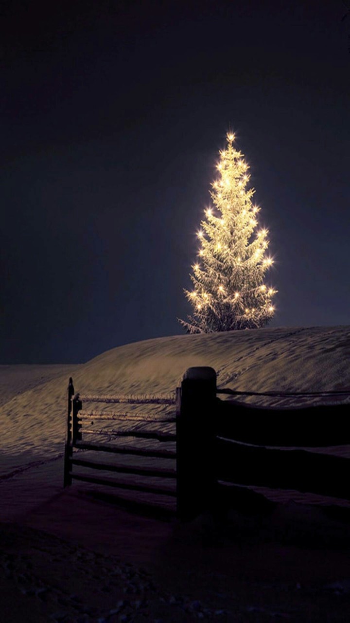 Christmas Night