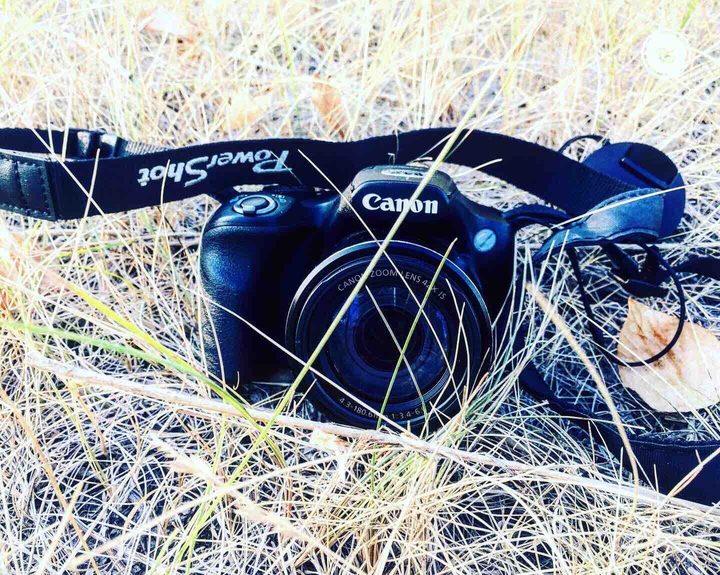 photos