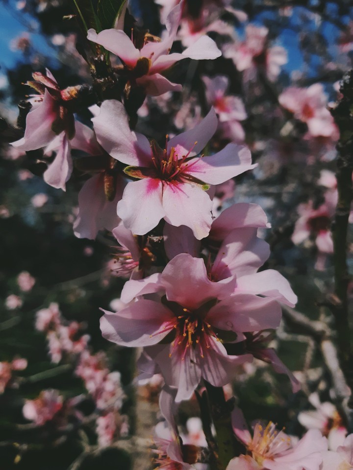 _°♡◇◇♡°_