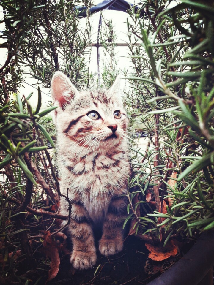 "."❤