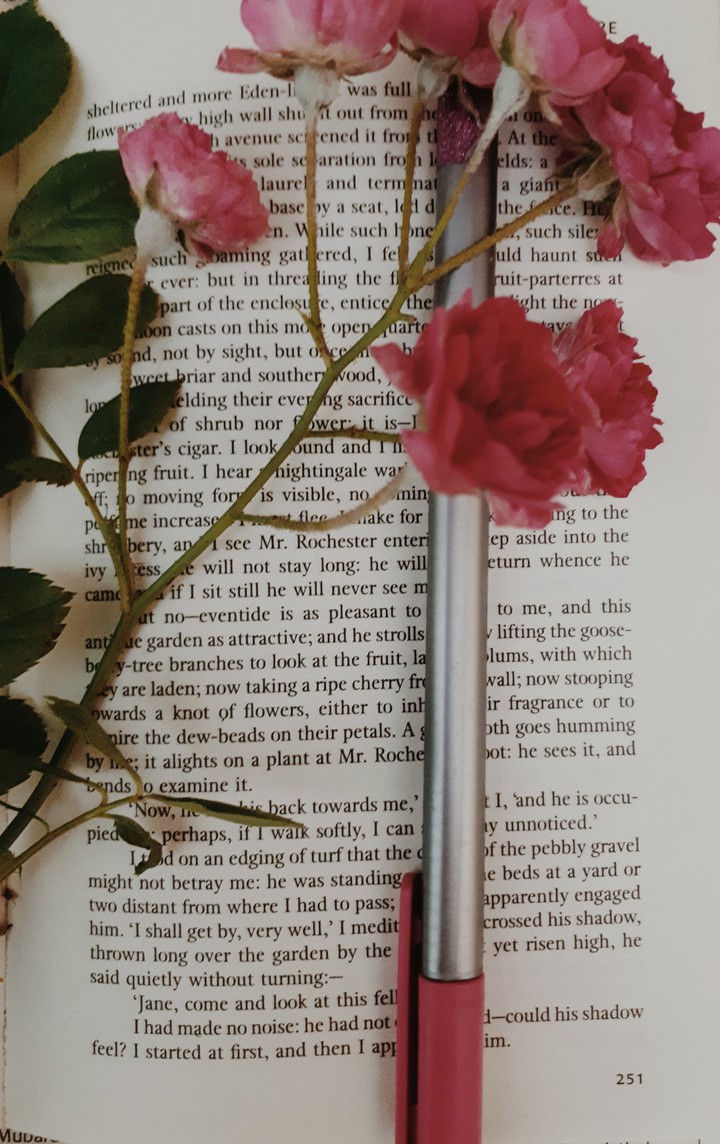 Flower / Book