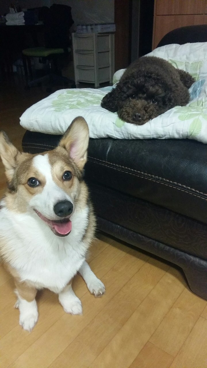 ><