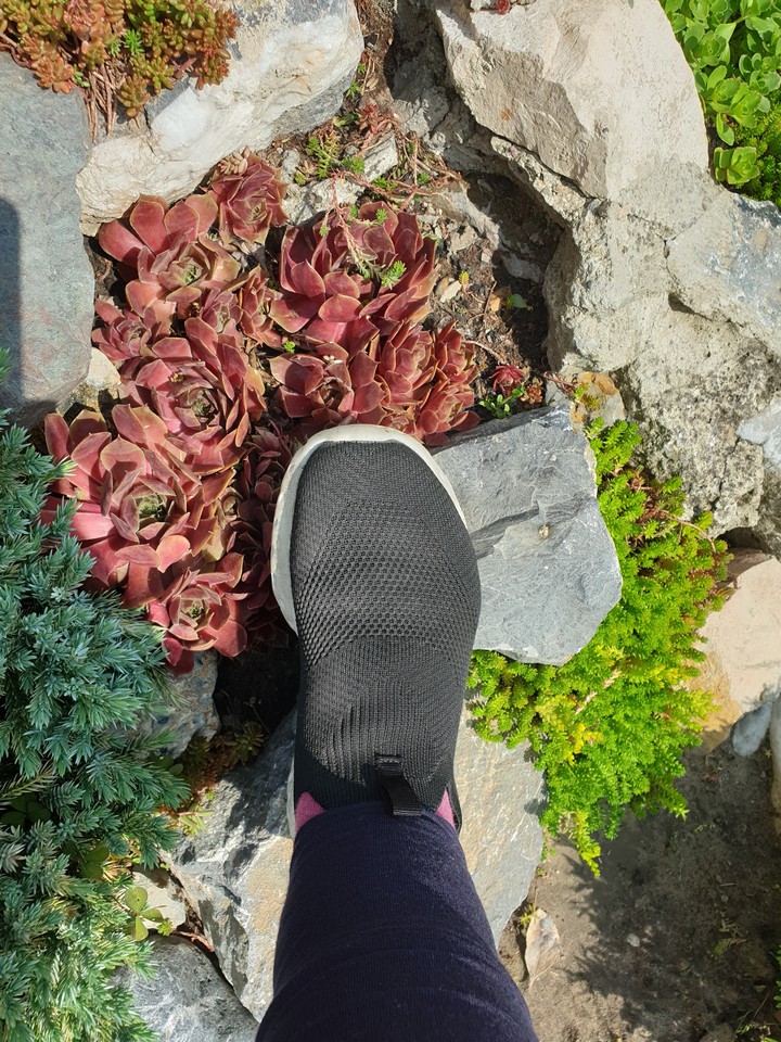 my leg and flower