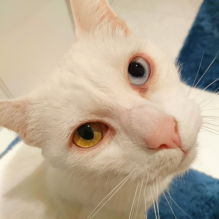 those eyes