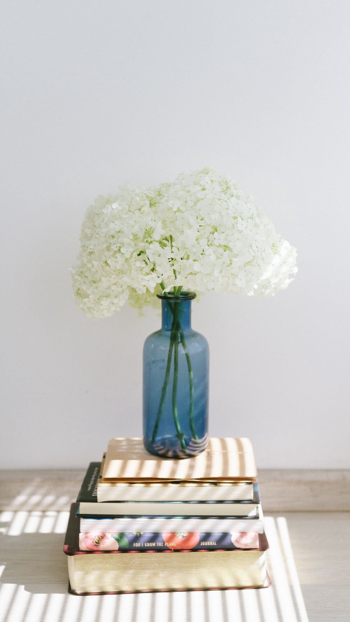 spring love.