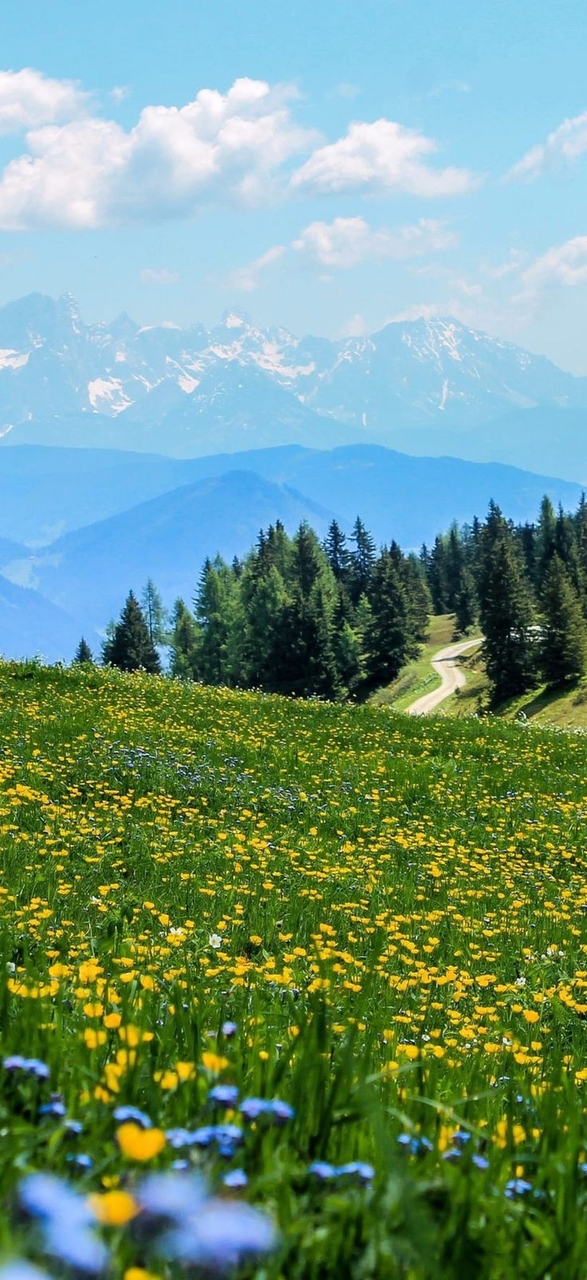 papéis de parede Wilderness, landscape