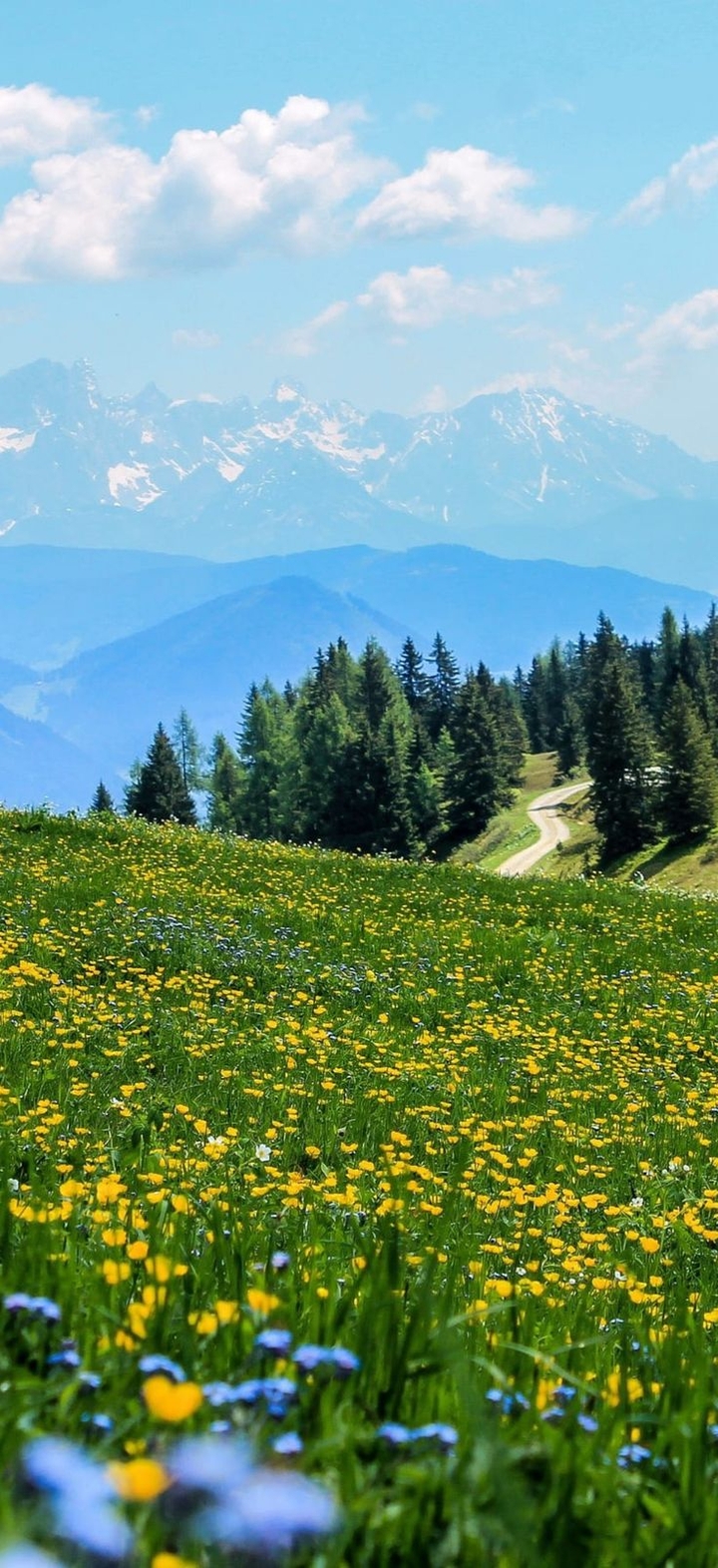 prairie, Ridge वॉलपेपर