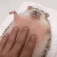 oh niiiccceee