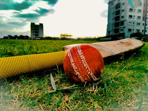 cricket