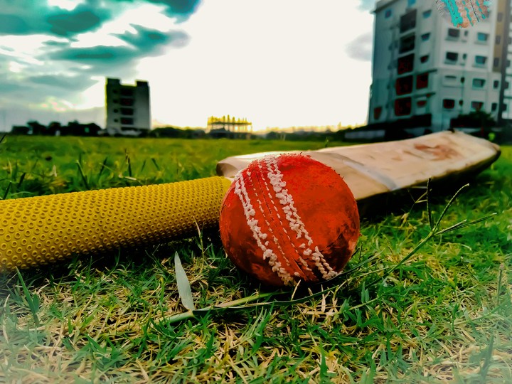 cricket