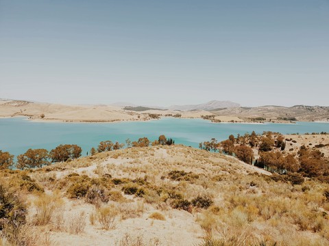 landscape