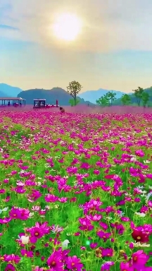 paradise on earth