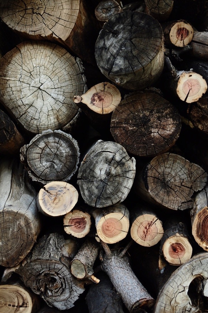 Wood
