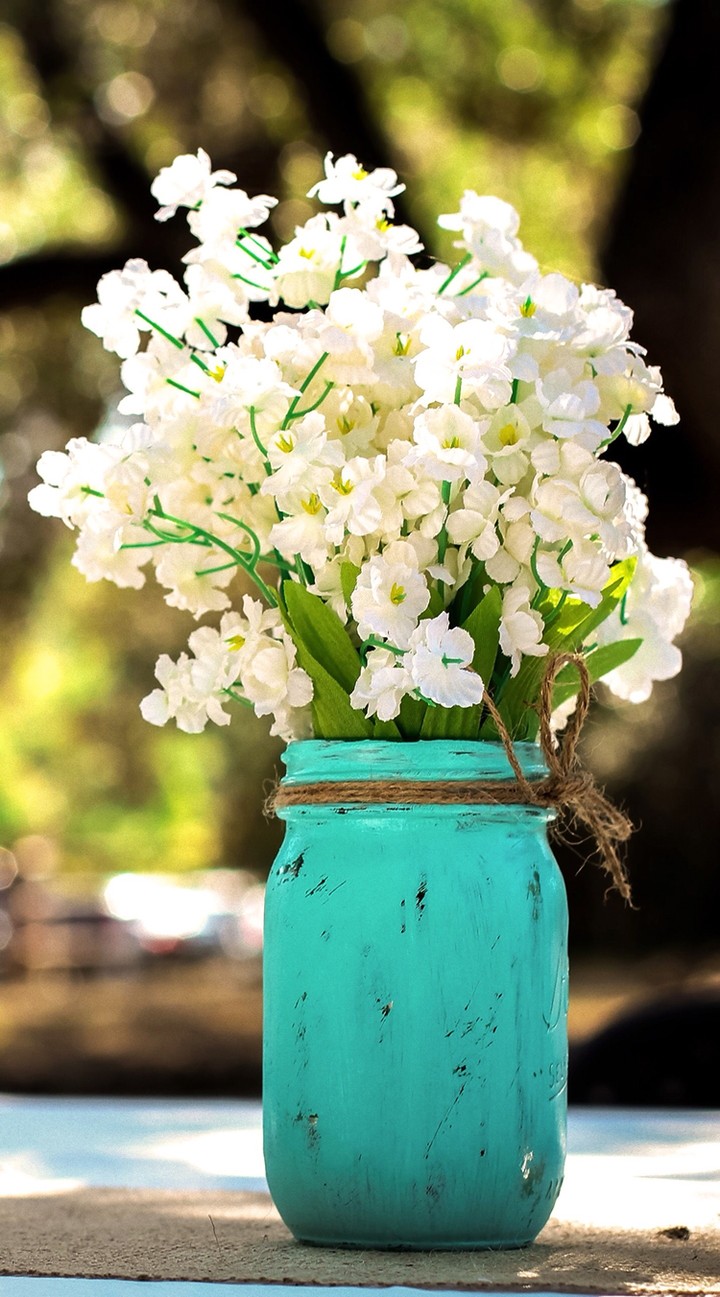 #گل#مریوان#flower#white#nature