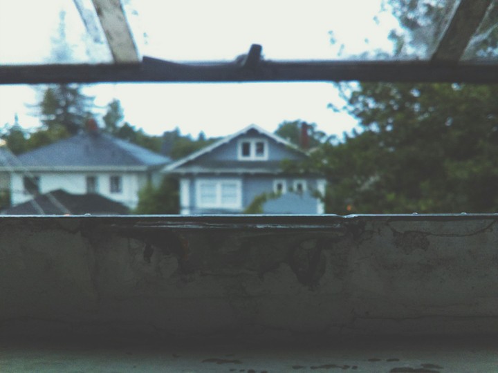 Window