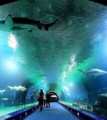 Acquarium Genova