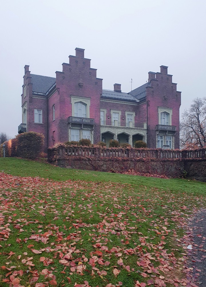 Hus og gress