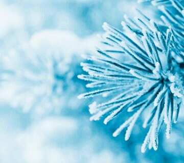 winter