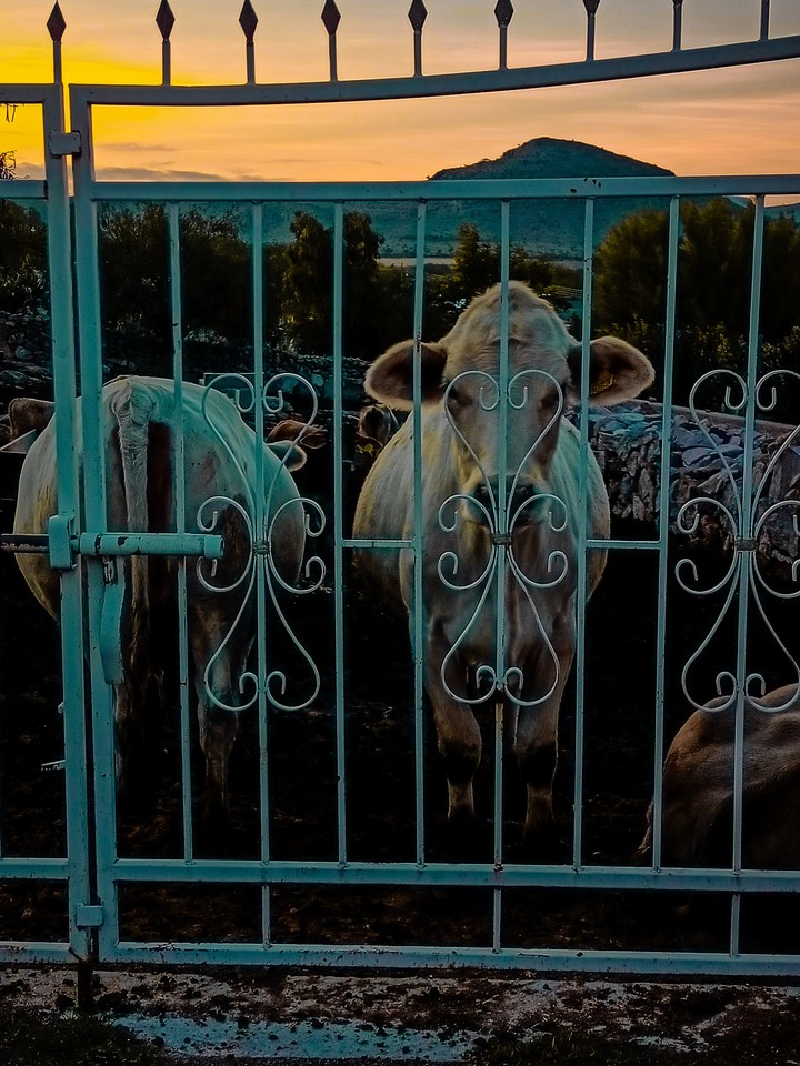 atardecer