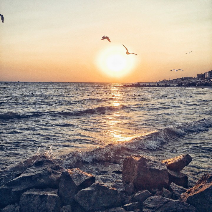 Black Sea 