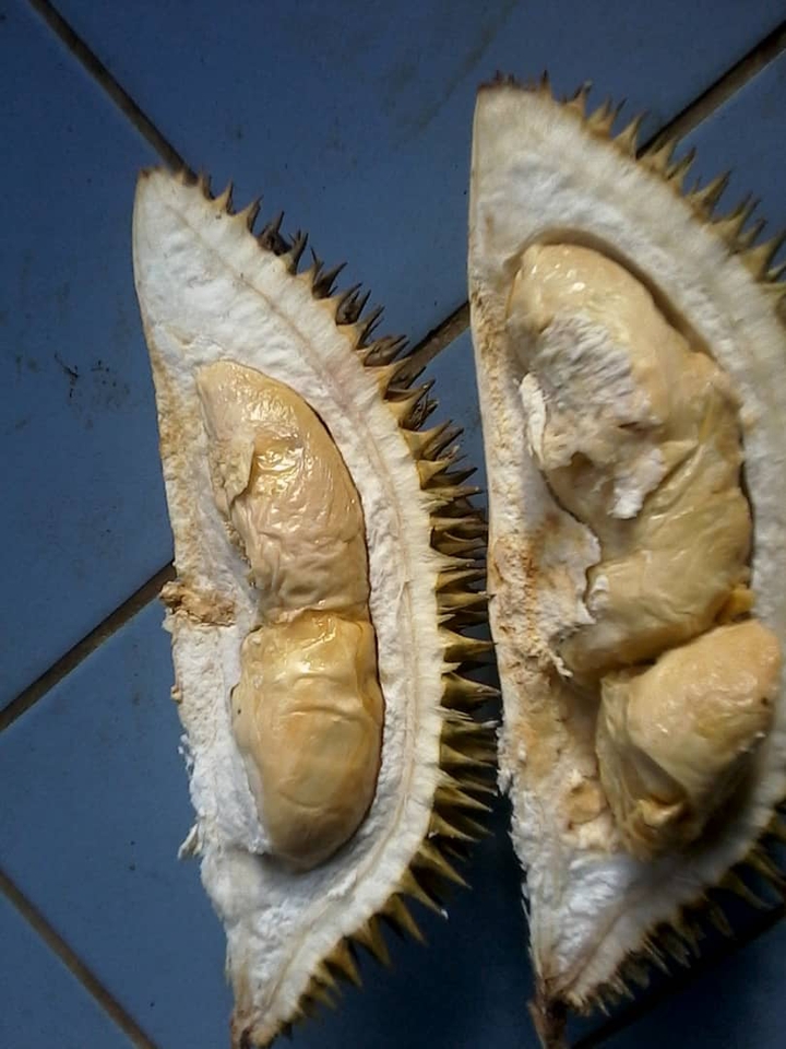 Durian