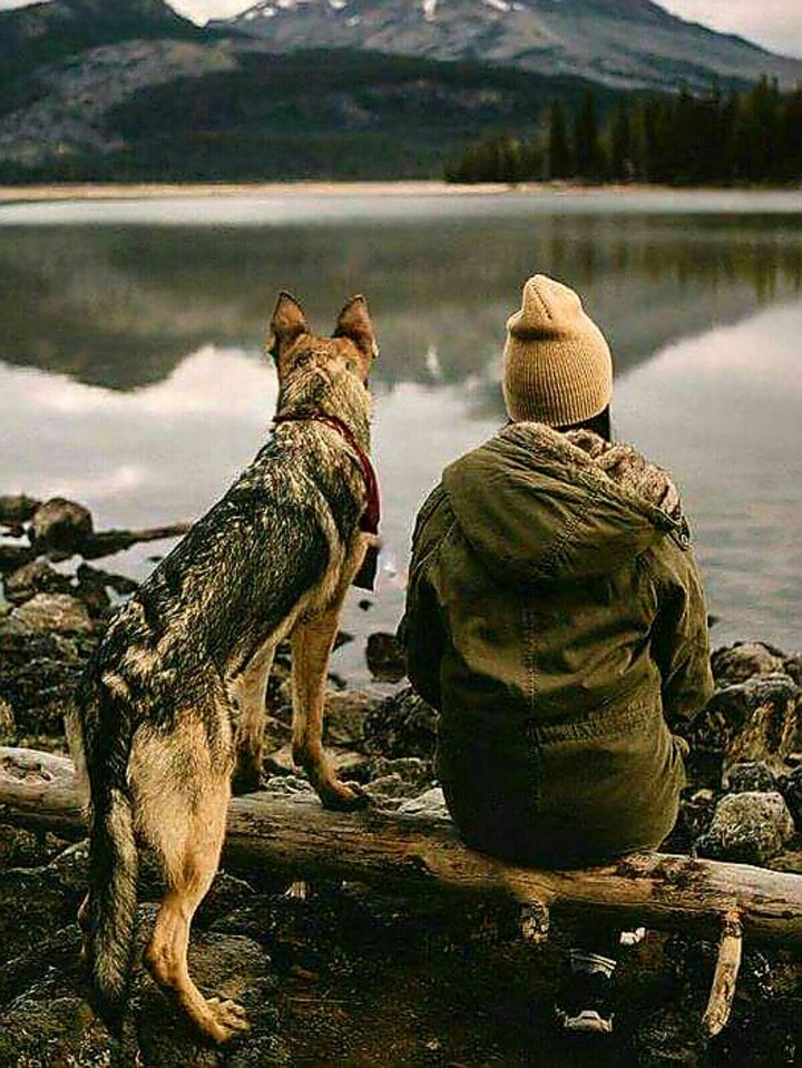 serenity