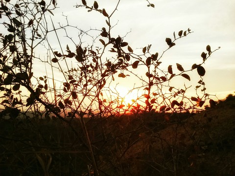 #sunset