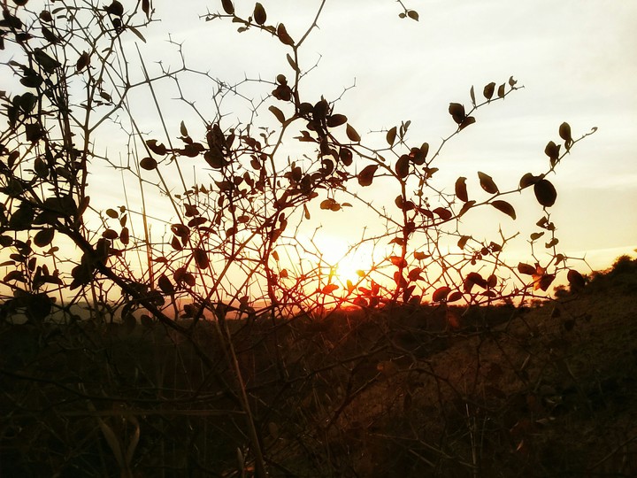 #sunset