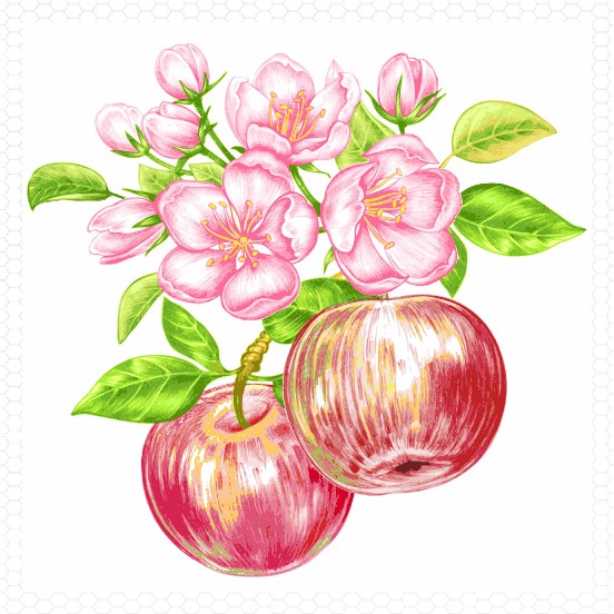 watercolors