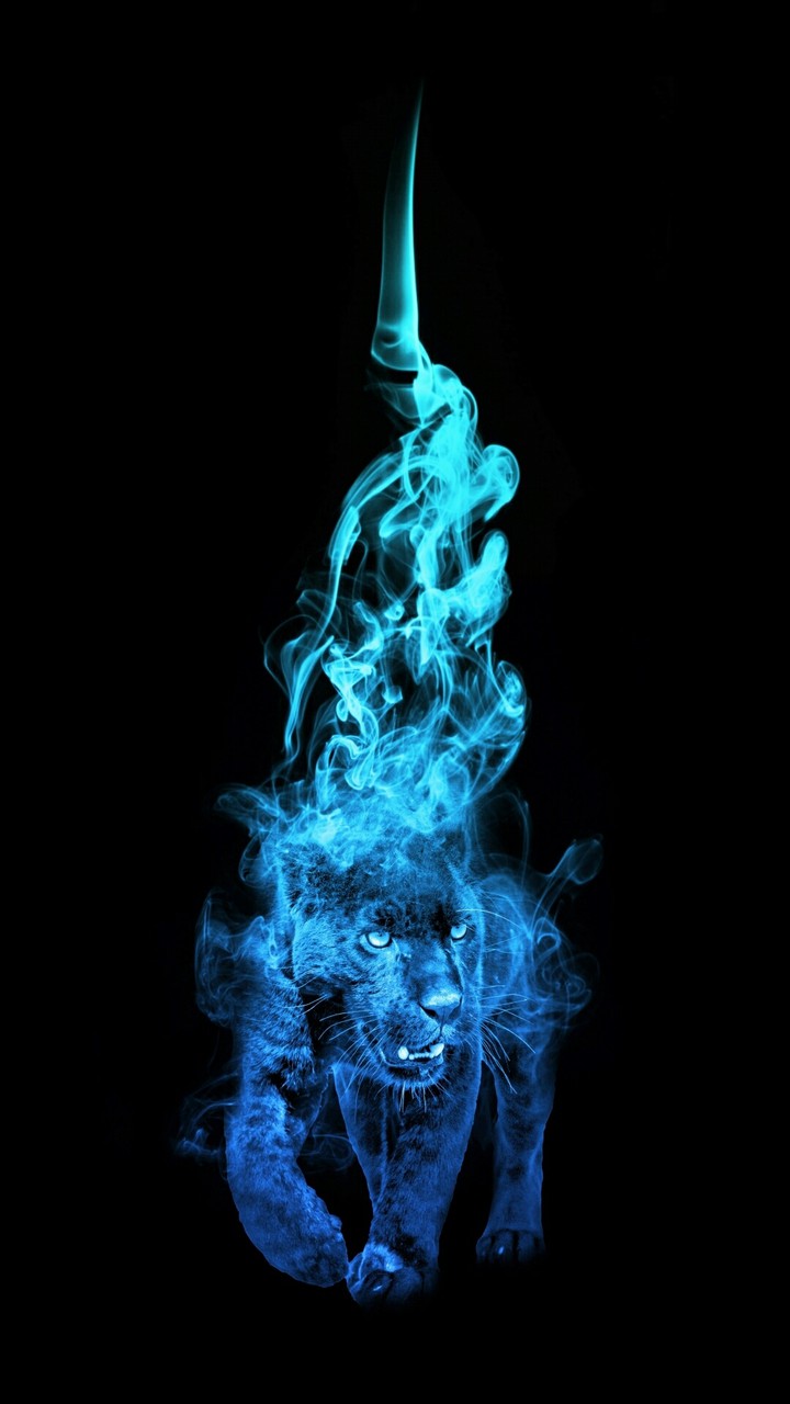 Illusion