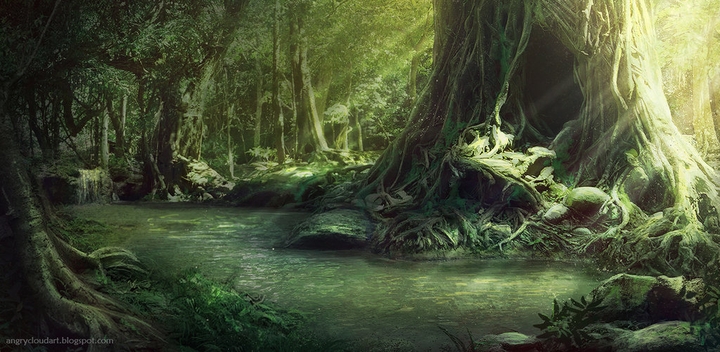 Magical forest