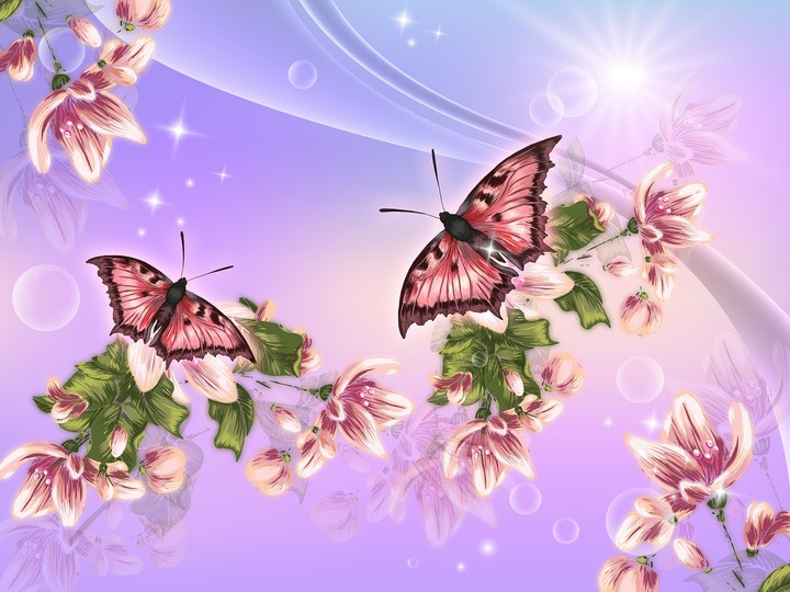 butterfly