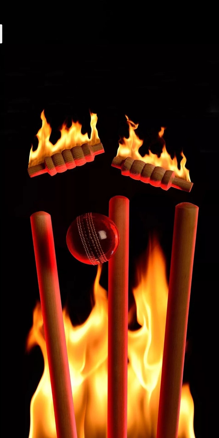 Stumps on fire...