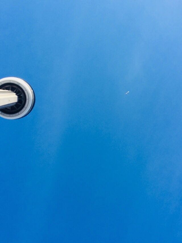 CN Tower and a Plane