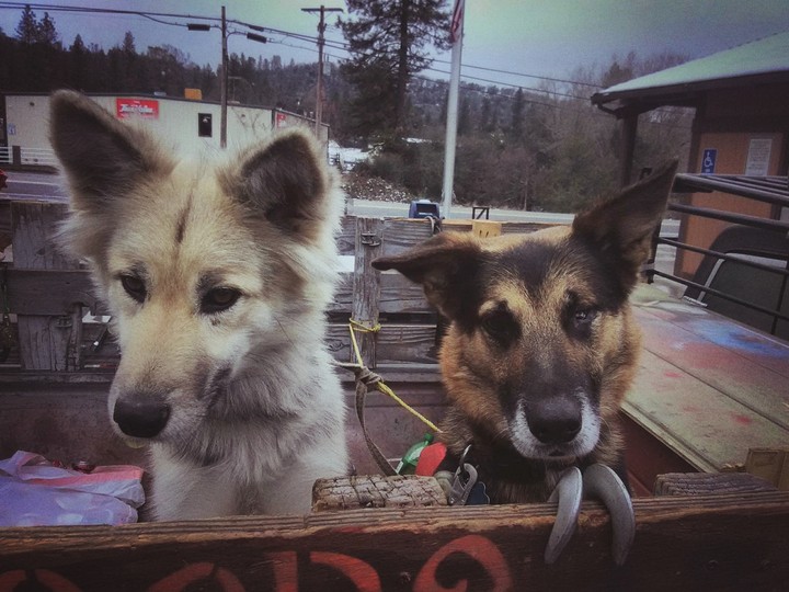 Athena and Bear