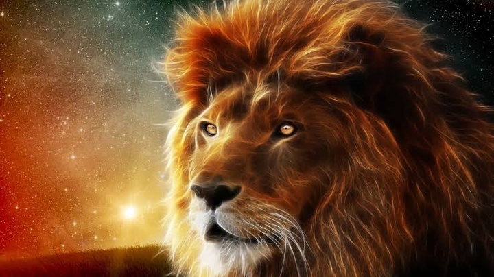 Lion 3D