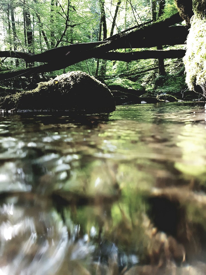 untitled 1