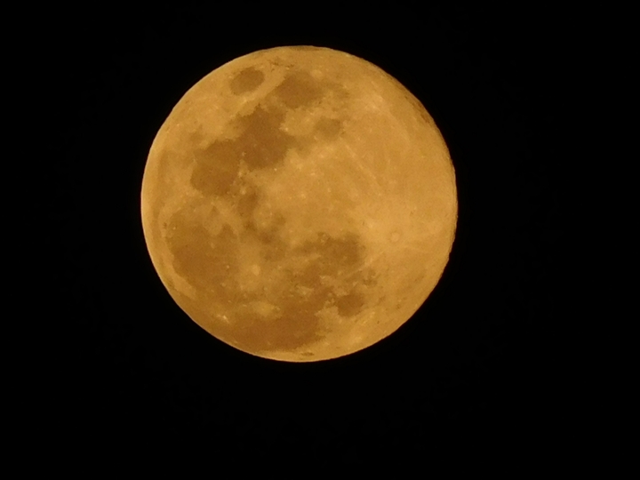moon