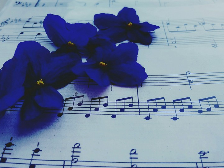 In Violette