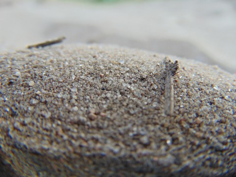 Piasek